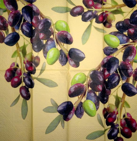 101 Olives - 3-ply